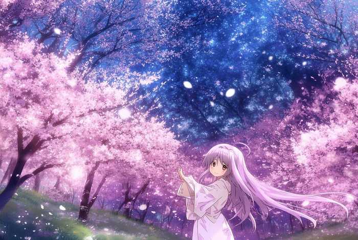 樱花庄的宠物女孩第二季九九影视（樱花庄的宠物女孩第二季九九影视在线观看）