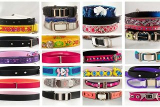 宠物项圈图片 宠物项圈图片大全