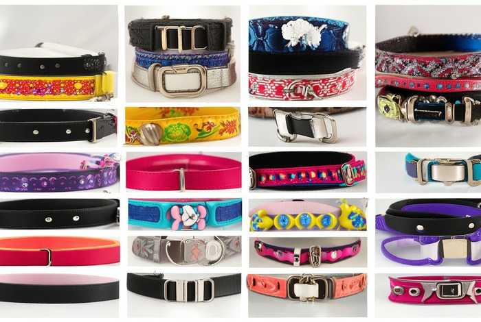 宠物项圈图片 宠物项圈图片大全