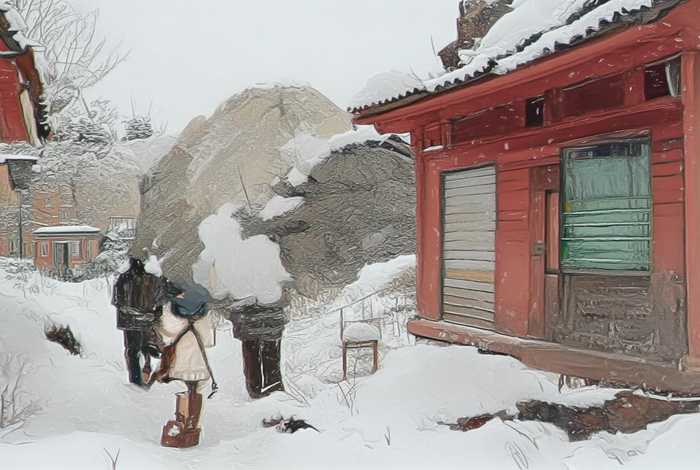 宠物食品行业发展前景（宠物食品行业发展前景分析）