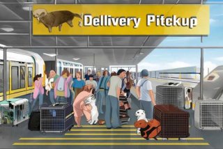 火车托运宠物去哪里取 - 火车托运宠物去哪里取快递