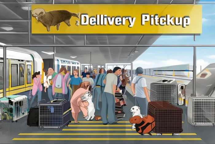 火车托运宠物去哪里取 - 火车托运宠物去哪里取快递