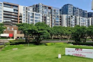 青岛禁养宠物小区物业回应（青岛禁养宠物小区物业回应最新消息）