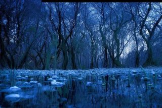 洛克王国宠物超进化大全 洛克王国宠物超进化大全攻略