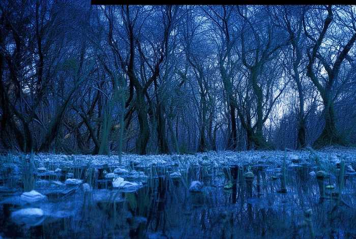 洛克王国宠物超进化大全 洛克王国宠物超进化大全攻略