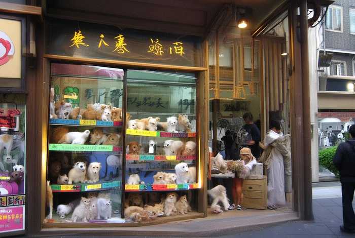 武汉宠物店加盟 武汉宠物店加盟费多少