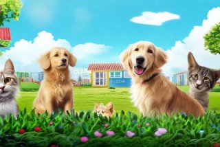 烟台宠物领养中心 烟台宠物领养中心有哪些