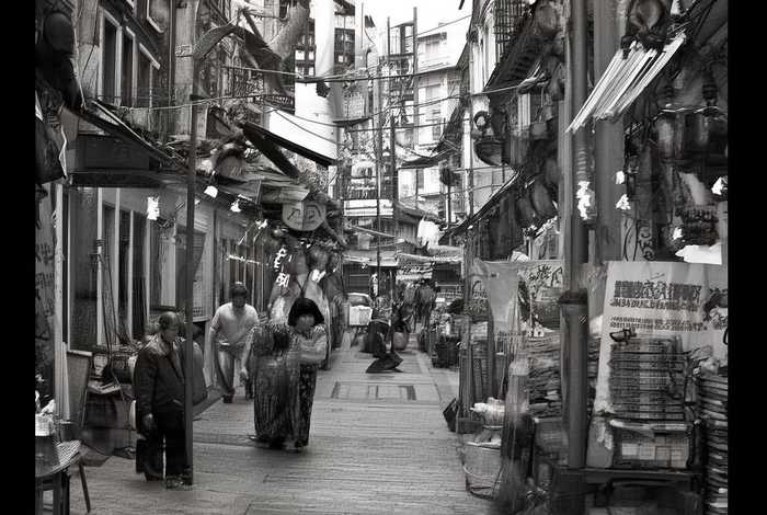 石家庄宠物市场批发价猫狗（石家庄宠物市场批发价猫狗多少钱）