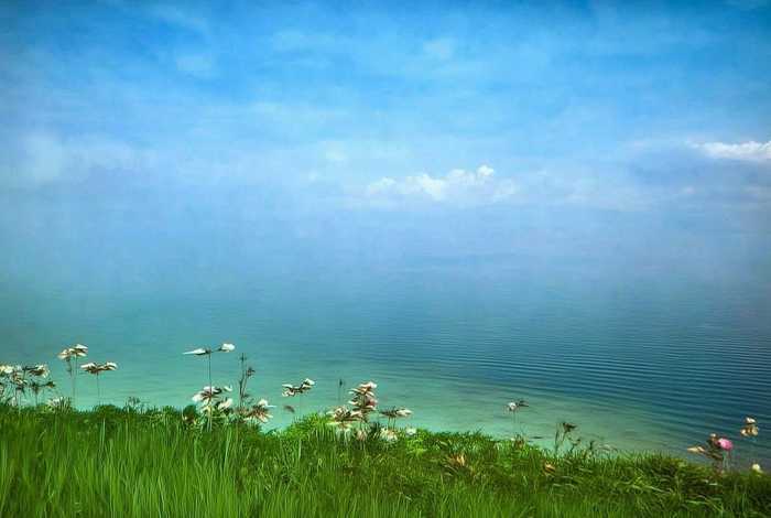 青岛一小区全面禁养宠物了吗、青岛一小区全面禁养宠物了吗现在