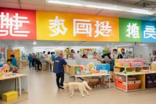 厦门月出宠物用品有限公司；厦门月出宠物用品有限公司招聘