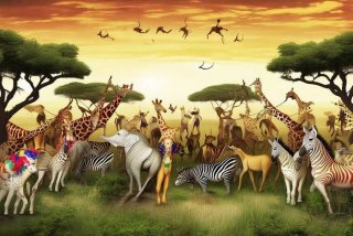 动物总动员免费看完整版（动物总动员免费观看完整版）