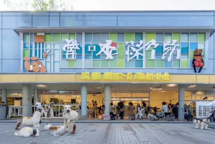 宠物美容培训学校官网 - 派多格宠物美容培训学校官网