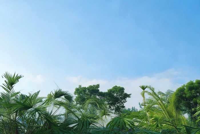 青岛一小区全面禁养宠物了吗、青岛一小区全面禁养宠物了吗现在