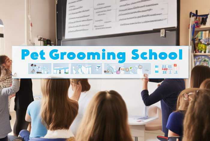 宠物美容学校正规学费多少钱 宠物美容学校正规学费多少钱一年