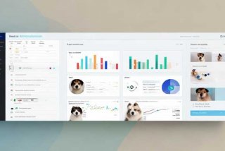 宠物管理系统毕业论文 - 宠物管理系统毕业论文开题报告