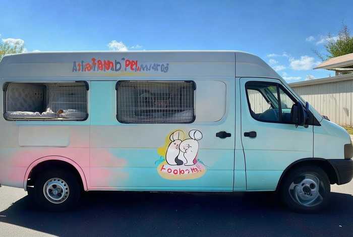 宠物运输哪个平台比较便宜、宠物运输哪个平台比较便宜点