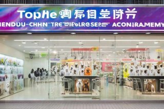 成都宠物美容培训机构、成都宠物美容培训机构排名榜