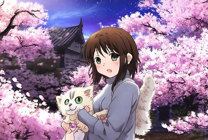 樱花庄的宠物女孩第二季上线时间 - 樱花庄的宠物女孩第二季什么时候播？