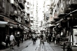 天津宠物市场排行榜前十名、天津宠物市场排行榜前十名有哪些