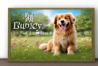 宠物名字英文 宠物名字英文带翻译