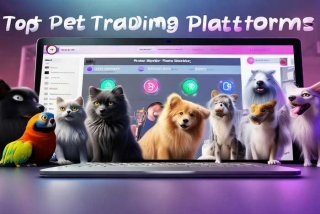 宠物交易平台哪个好（宠物交易平台哪个好用）