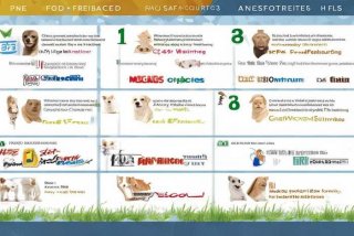 宠物食品代工厂排名前10；宠物食品代工厂排名前10名