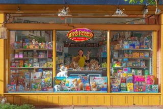 开宠物店要多少钱 - 开宠物店要多少钱,要什么证件