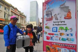 北京宠物托运顺丰，北京顺丰托运宠物价格表