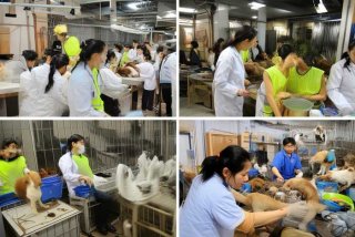 厦门宠物救助站；厦门宠物救助站最厉害三个部门