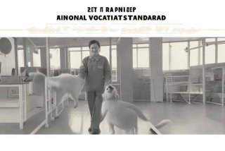 宠物训导师国家职业标准，宠物训导师国家职业标准最新