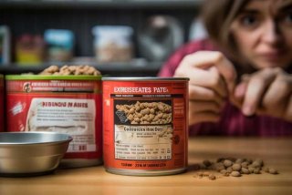 宠物罐头过期了还能吃吗、宠物罐头过期了还能吃吗有毒吗