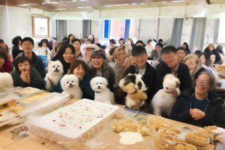 南宁宠物烘焙培训学校（南宁宠物烘焙培训学校有哪些）