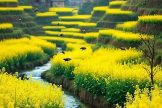 洛克王国稀有宠物的刷出地点与时间，洛克王国稀有宠物出现时间地点最新