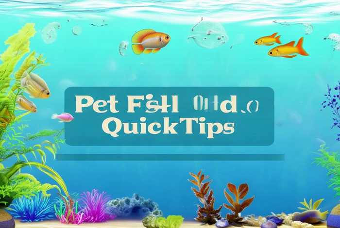 宠物鱼油吃多了怎么办；宠物鱼油吃多了怎么办小妙招