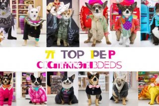 宠物服装品牌排行榜前十名、宠物服装品牌排行榜前十名有哪些