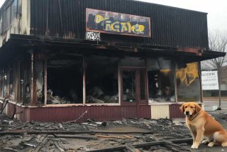 宠物店起火宠物全死，宠物店意外死亡赔偿办法