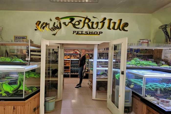 蜥蜴宠物专卖店、蜥蜴宠物专卖店地址