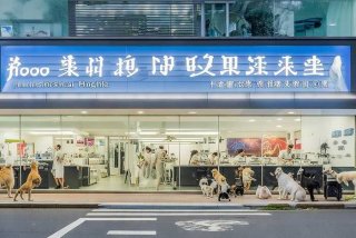 上海宠物医院加盟，上海宠物医院加盟连锁