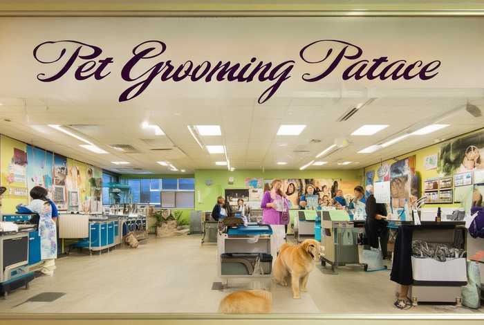 宠物美容院加盟、宠物美容院加盟费多少