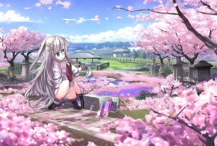 樱花庄的宠物女孩在线观看樱花动漫、樱花庄的宠物女孩樱花动漫在线观看手机版