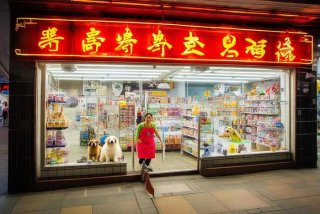 上海宠物店加盟电话（上海宠物店加盟电话多少）