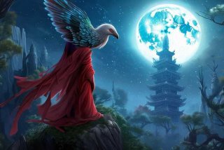 绯月仙行录鸟类宠物在哪；绯色修仙录拜月塔在哪