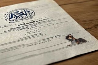 济南宠物医院诊断证明书 济南宠物医院诊断证明书图片