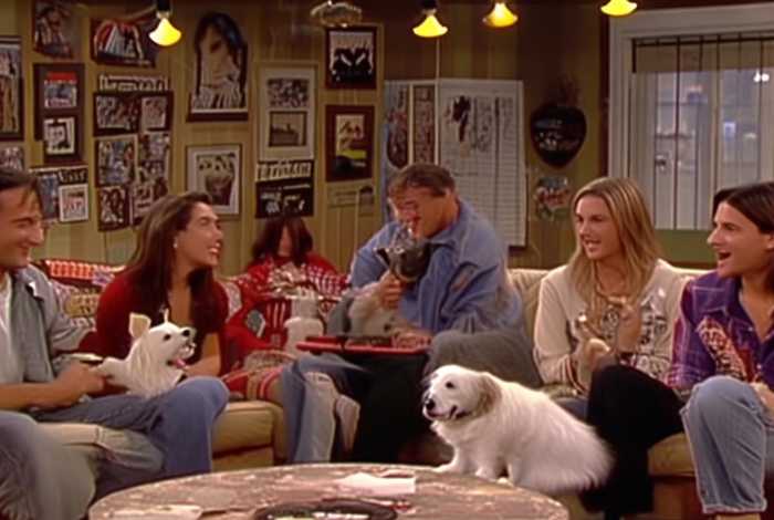 宠物老友记第五季 - 宠物老友记第五季免费观看