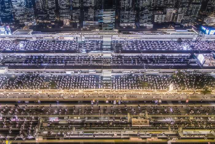 宠物美容院有哪些项目；宠物美容院有哪些项目名称