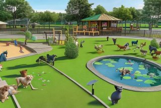 宠物公园有哪些（宠物公园有哪些功能区）