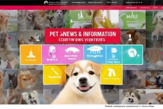 宠物资讯新闻 - 宠物新闻资讯网站