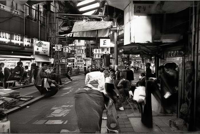 长沙宠物市场狗狗价格；长沙宠物市场狗狗价格多少