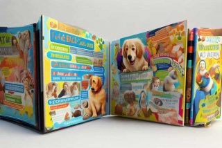 宠物知识大全100条 宠物知识大全100条免费阅读