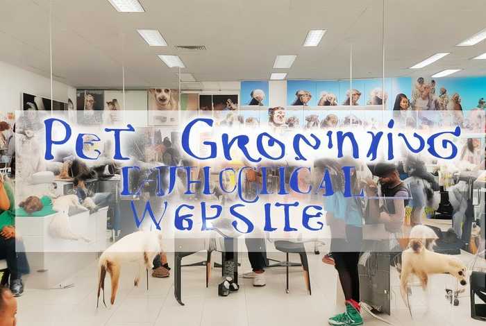 宠物美容官网，宠物美容官网招聘